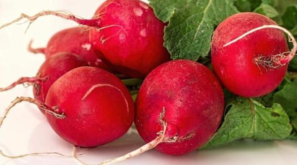 ai cumparat ridichi si nu stii ce sa faci cu frunzele este simplu gateste le deoarece sunt delicioase