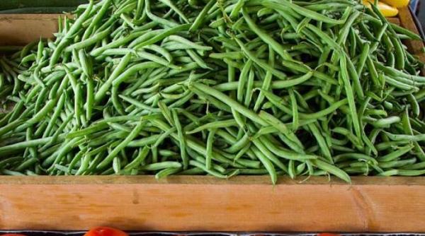 mancare irezistibila din fasole verde si hamsii reteta usoara si rapida