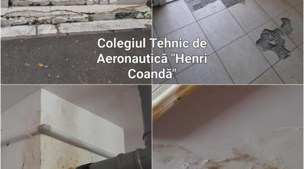 pnl sector 1 cand cifrele vorbesc clotilde armand ar trebui sa taca primar catastrofa