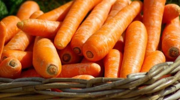 morcovi murati pentru iarna o gustare grozava care se prepara simplu