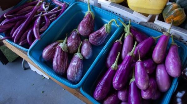 rulouri de vinete cu o umplutura savuroasa o portie are doar 50 de calorii