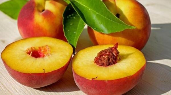 salata de rosii piersici si branza o reteta neobisnuit de savuroasa