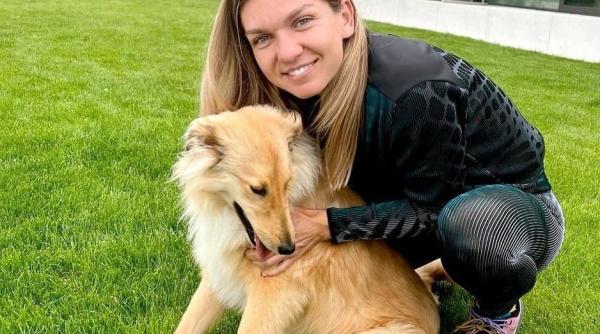 simona halep apel dupa divortul de toni iuruc am rugamintea