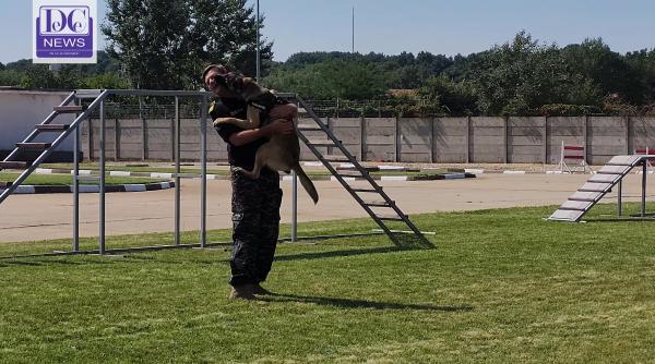 video cainii autoritatii vamale demonstratie de abilitati 4k