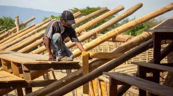 orasele de lemn ar putea reduce emisiile de carbon cu 100 de miliarde de tone pana in 2100