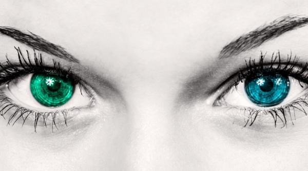 daltonismul poate fi vindecat prin terapia genetica