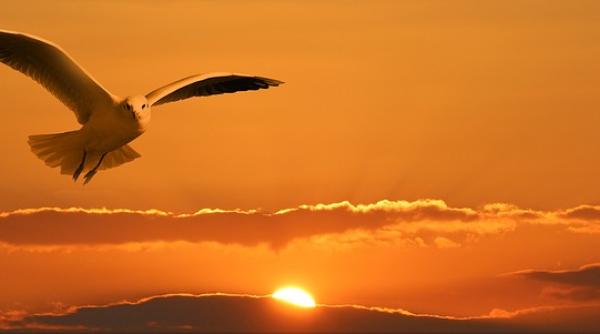 moment uimitor un nor asemanator cu chipul reginei elisabeta a fost vazut deasupra orasului la doar cateva ore dupa ce a murit foto