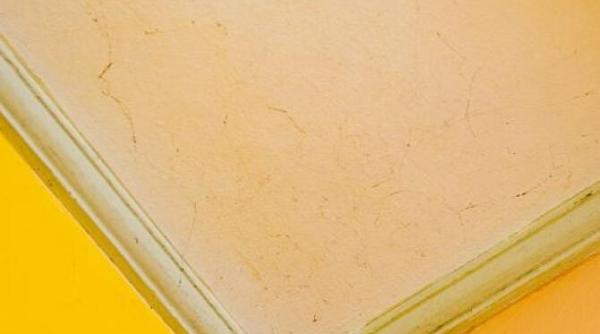 scapa rapid de petele galbene de pe tavan iata ce trebuie sa faci inainte de a aplica varul lavabil