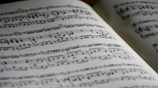 cea mai buna muzica pentru creier prof ciurea ce melodie a ridicat sala in picioare