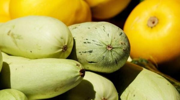 dovleceii vor fi proaspeti pana la primavara ce pasi trebuie sa urmezi pentru depozitarea corecta