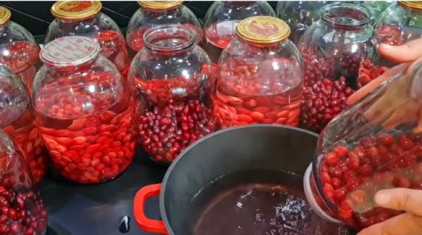 coarnele de padure fructele care sunt aur pentru sanatate retete