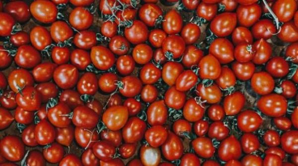 ketchup de casa ce produse sa adaugi pentru a l face mai aromat si mai bogat reteta simpla