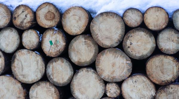 tomac pmp propune un voucher pentru achizitionarea de lemne este esential pentru ca pretul s a scumpit de 3 4 ori