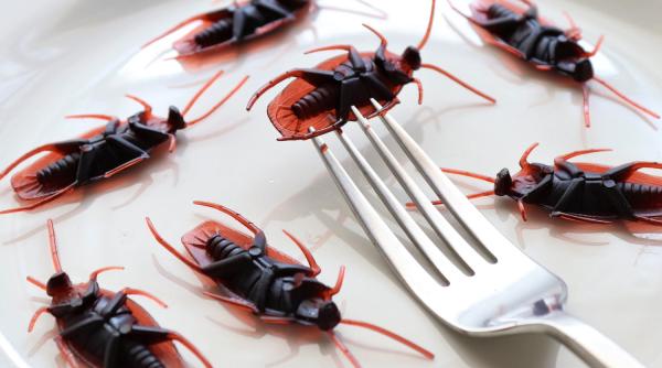 vom manca sau nu insecte valcu toti colorantii alimentari vin deja din gandaci oricum sunt protejati de ong uri