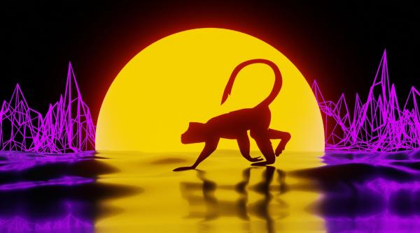 chinezii sunt sfatuiti sa nu i atinga pe straini ca masura de siguranta impotriva variolei maimutei