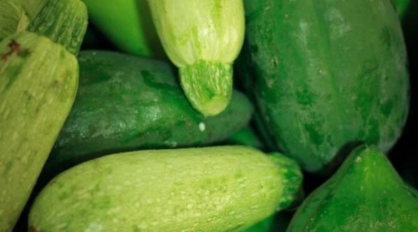 dovlecei pane cu sos de usturoi plini de aroma de azi doar asa ii veti gati