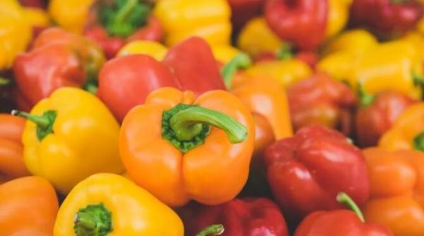 o gustare simpla din ardei gras nimic nu mai va ramane pentru a doua zi