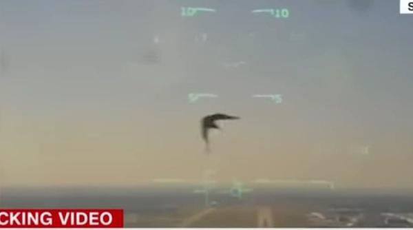 o pasare a doborat un avion al marinei americane totul a fost filmat video