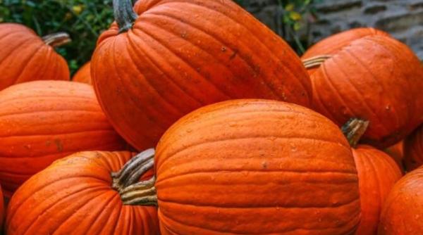 dovleac copt cu usturoi si busuioc o reteta excelenta si pentru cei care tin la silueta