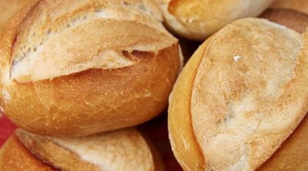 painici preparate in casa ai nevoie de apa faina si 2 linguri de ulei