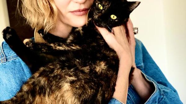 m a lovit tancul m a lovit lia bugnar abia acum isi revine dupa despartirea de anghel damian reusesc sa pun la loc ceva din mine