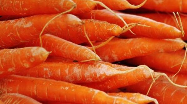 fursecuri rapide din morcovi cum sa faci un mic dejun delicios gata in 20 de minute