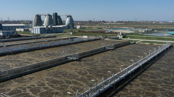 imagini socante ce arunca bucurestenii in canalizare capete de porc sau chiar porcul cu totul cai o jumatate de oaie galeria foto