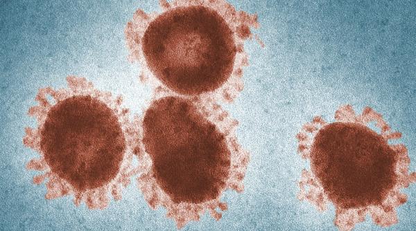 khosta 2 un nou virus declansat in rusia carmen dorobat ne putem astepta sa si faca simtita prezenta in sezonul rece