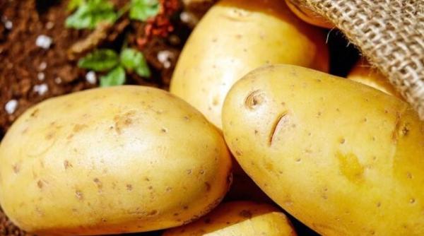 cea mai rapida si delicioasa cina cartofi pregatiti la cuptorul cu microunde in doar 15 minute