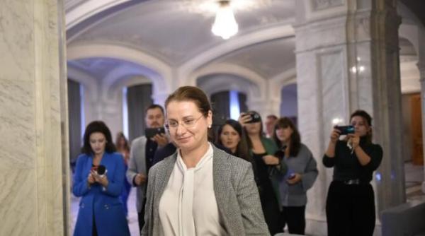 ligia deca votata de pnl pentru propunerea de ministru al educatiei