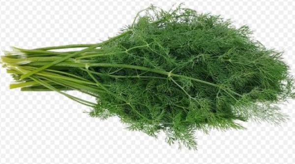 nu mai aruncati tulpinile de marar puteti prepara ceva foarte gustos din ele