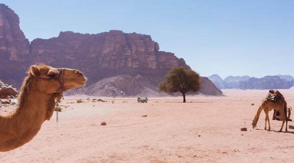 schi alpin in desert arabia saudita va gazdui jocurile de iarna reactia ue ceva fundamental gresit