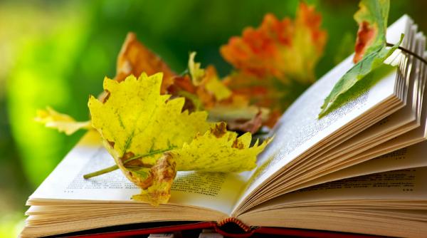 fsli scrisoare deschisa catre profesori elevi si parinti cu ocazia zilei internationale a educatiei 5 octombrie 2022