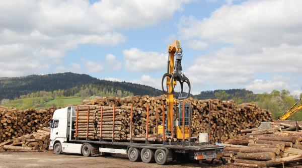 guvernul da lemn pentru republica moldova ajutor de incalzire
