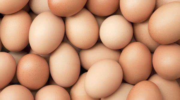 moment istoric scade productia de oua francezii le cumpara deja la pret dublu