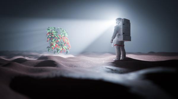 australia vrea sa cultive plante pe luna pana in 2025