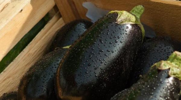 patru trucuri secrete pentru a elimina amaraciunea din vinete