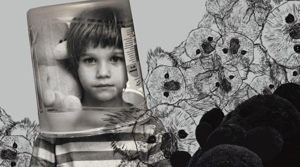 premiera la teatrul regina maria din oradea fiul de florian zeller in regia lui bobi pricop