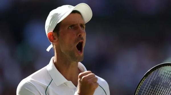 novak djokovic nu mai este numele unui tenismen o insecta poarta celebrul nume