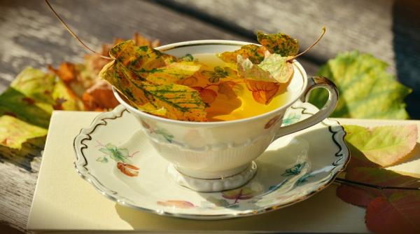 ceaiuri de baut toamna cele mai bune 5 retete