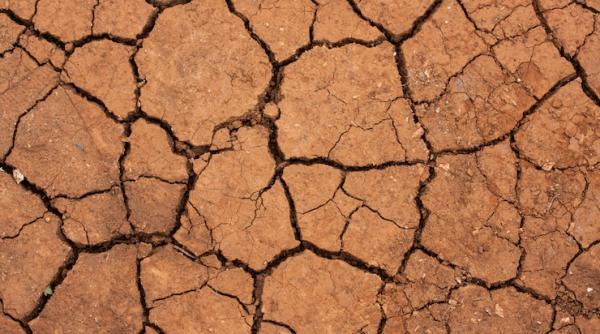 schimbarile climatice ameninta securitatea energetica avertismentul organizatiei meteorologice mondiale 15prc din centralele nucleare din lume sunt in regiuni tot mai aride