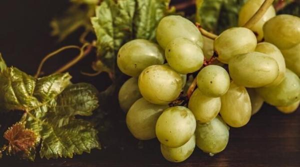 struguri murati pentru iarna o gustare originala sau o garnitura pentru carne