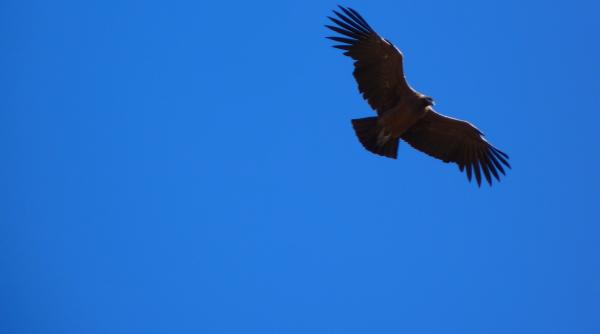 azi in lume stirile zilei de 15 octombrie