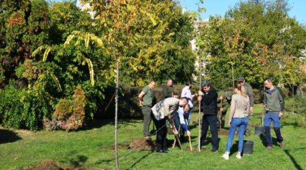 prefectura capitalei a lansat campania planteaza pentru bucuresti