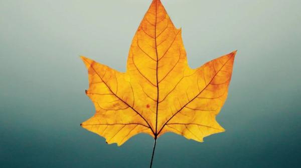 vreme in general calda pana la finalul lunii temperaturi mai scazute pe 20 si 21 octombrie