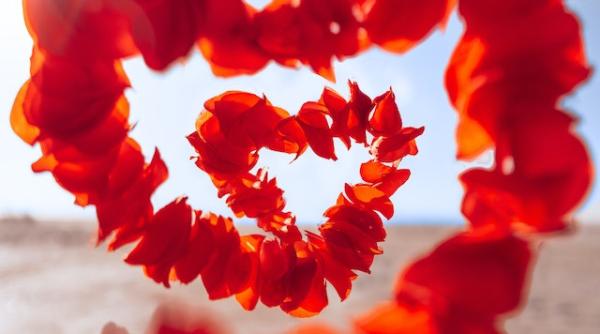 horoscop dragoste 24 octombrie 30 octombrie 2022 pentru fiecare zodie cele mai frumoase previziuni