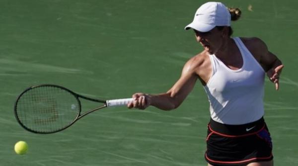 scandalul halep victor ciutacu reactie dedeman si banca transilvania solidarizeaza cu trisoarea