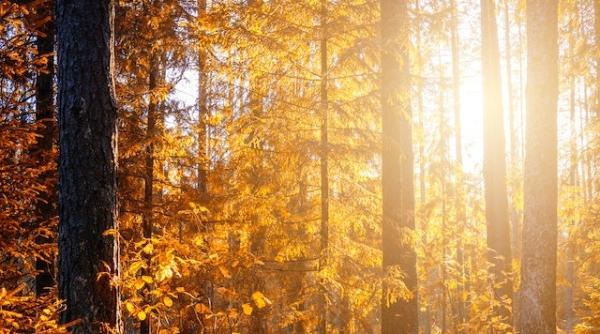 vremea in noiembrie 2022 prognoza meteo anm urmeaza patru saptamani cu temperaturi ridicate