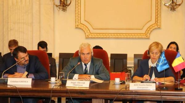 angel tilvar viitorul ministru al apararii dupa ce dincu a demisionat