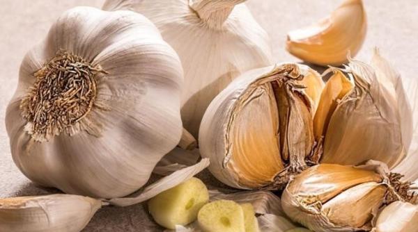 cum sa cresti usturoiul pe balcon rezultatul te va surprinde